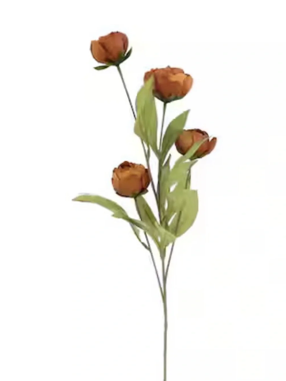 Ashland Brown Silk Peony Stems in Brown and White Floral Toile Pitcher